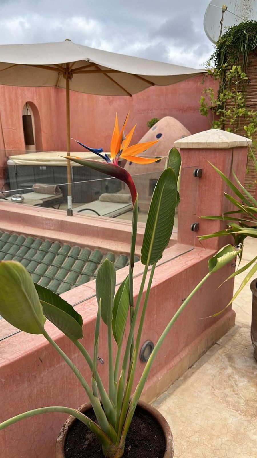 Riad Dar Ten Маракеш Екстериор снимка